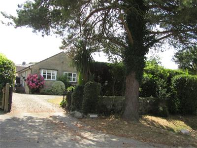 Picture 15